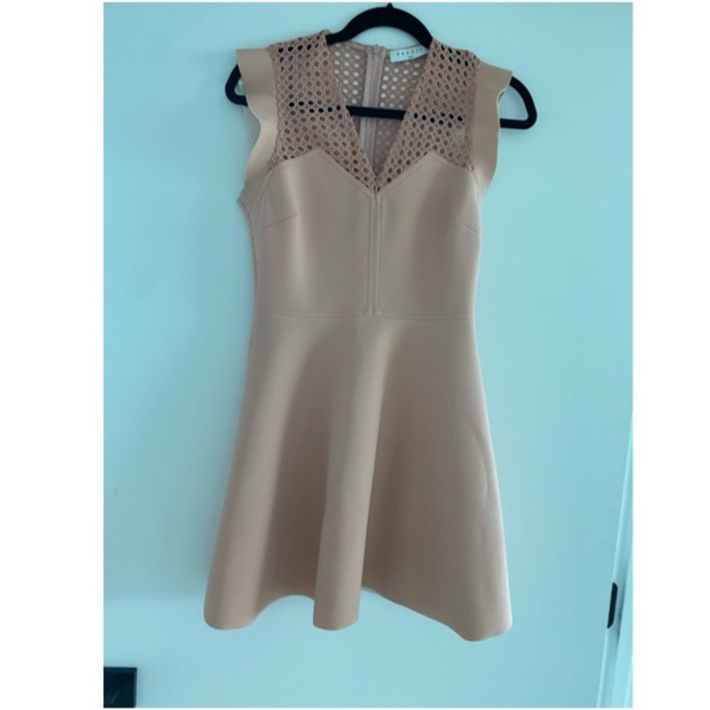 Sandro Pink Mini Dress